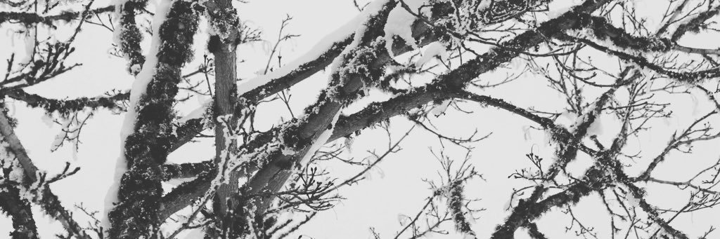 _DylanMB_'s profile banner image