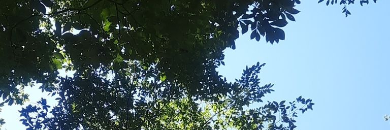 Becca237Xx's profile banner image