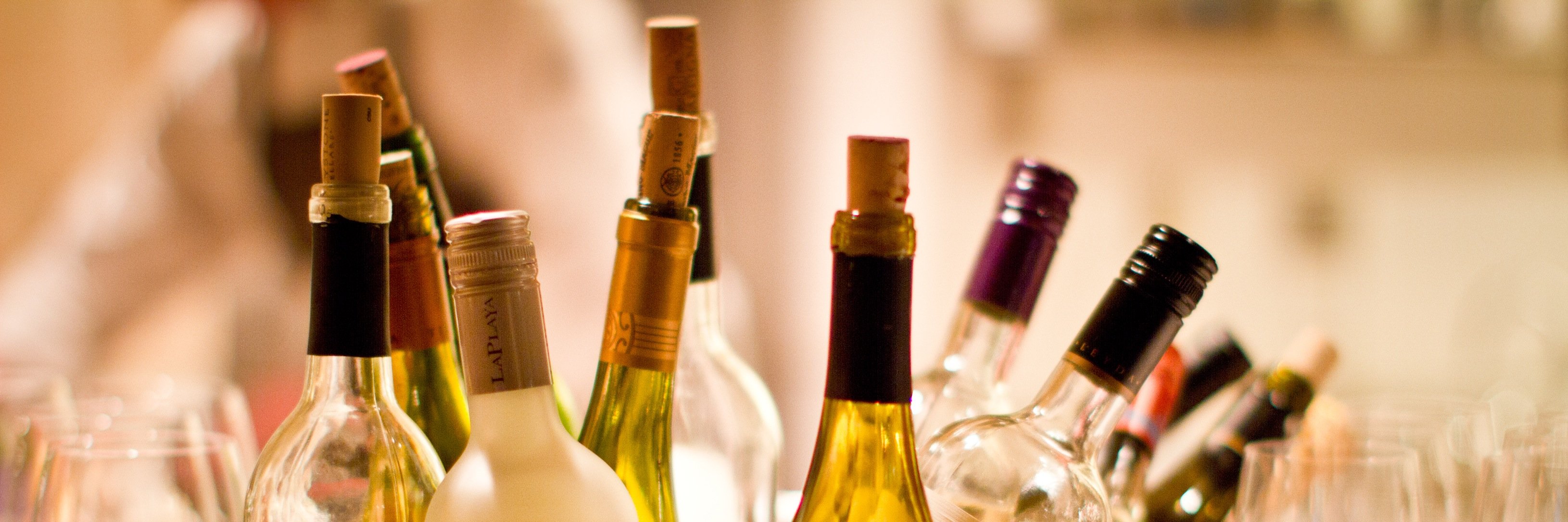 culinariasa's profile banner image