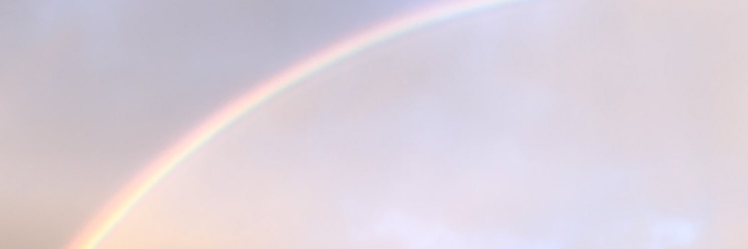 hoegan_'s profile banner image