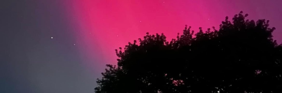 mollyjo1994's profile banner image