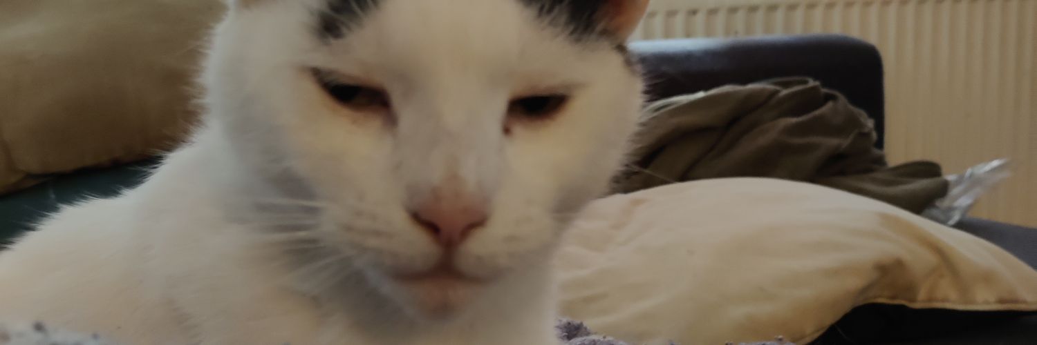 bexsimps's profile banner image