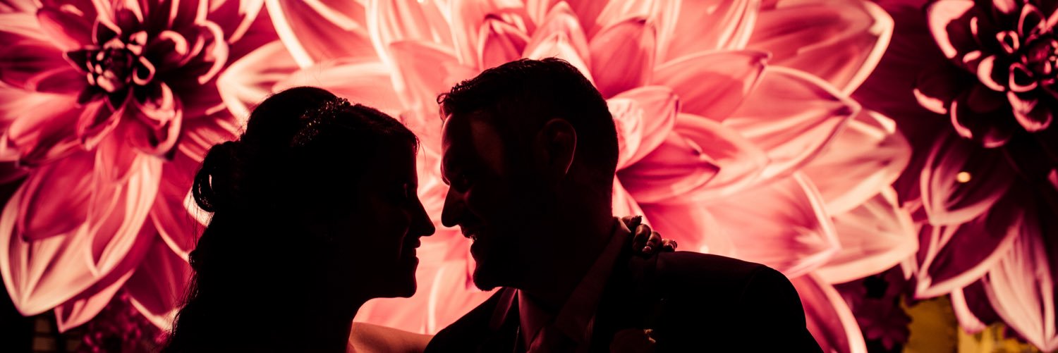 Daniella Feldman banner