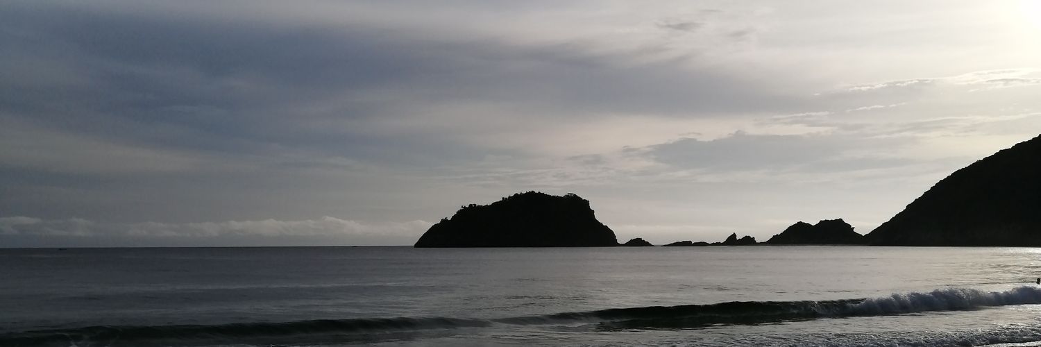 THETONILP's profile banner image