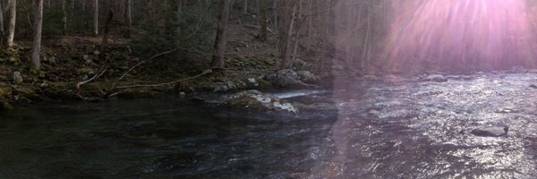 bentonsbacon Profile Banner