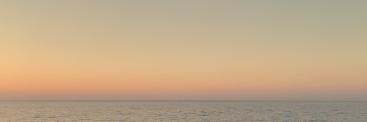 alannah01x's profile banner image