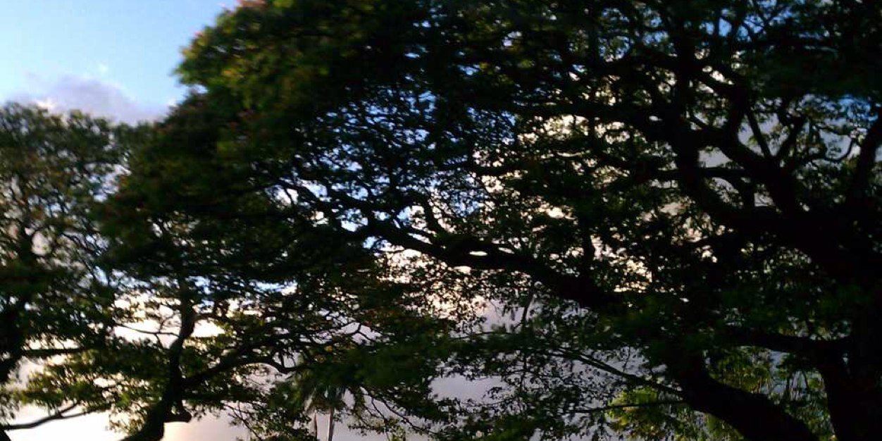 DPaskovics's profile banner image