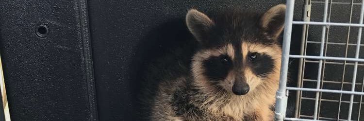JakeTanderup's profile banner image