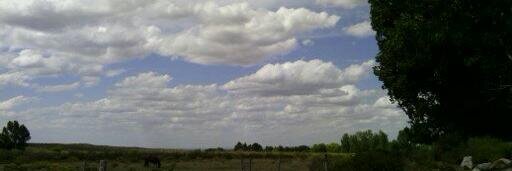 ⭐⭐⭐NO DOY CHEQUE en ⬜ 🇦🇷❤️Cazadora de Baches🏹 banner