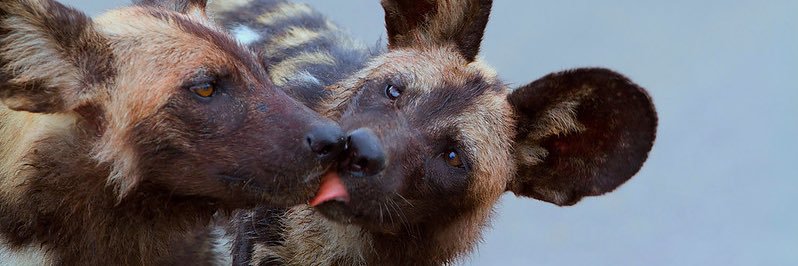 𝐓𝐞𝐜𝐡𝐧𝐨 banner