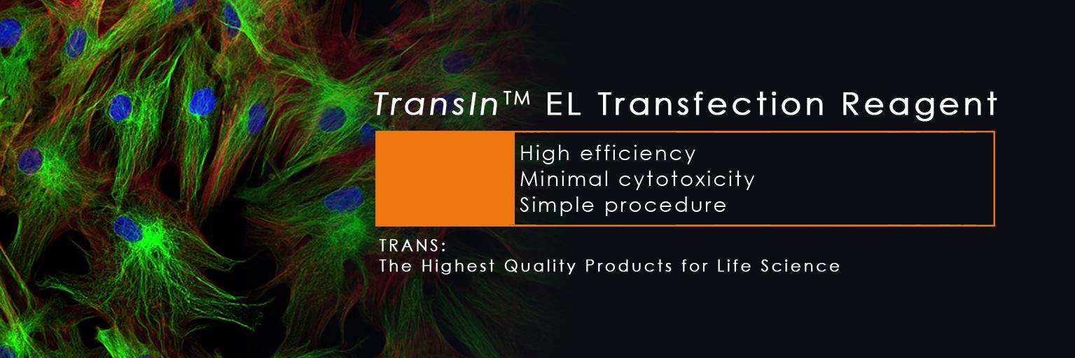 TransGenBiotech's profile banner image