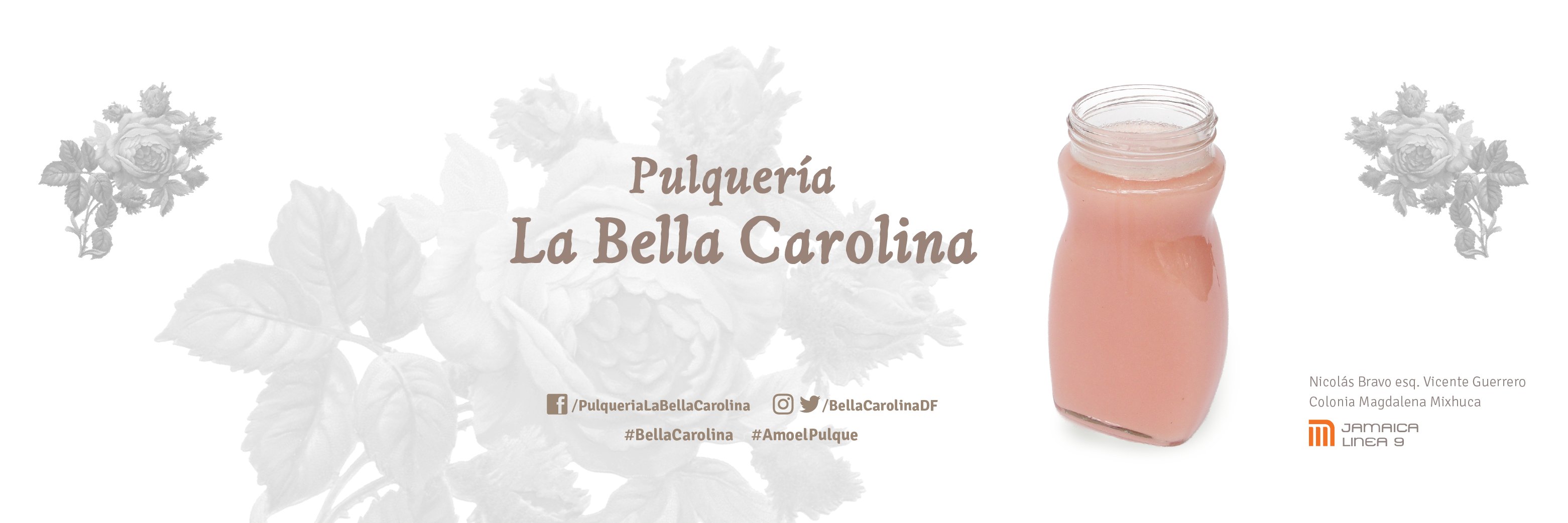 BellaCarolinaDF's profile banner image