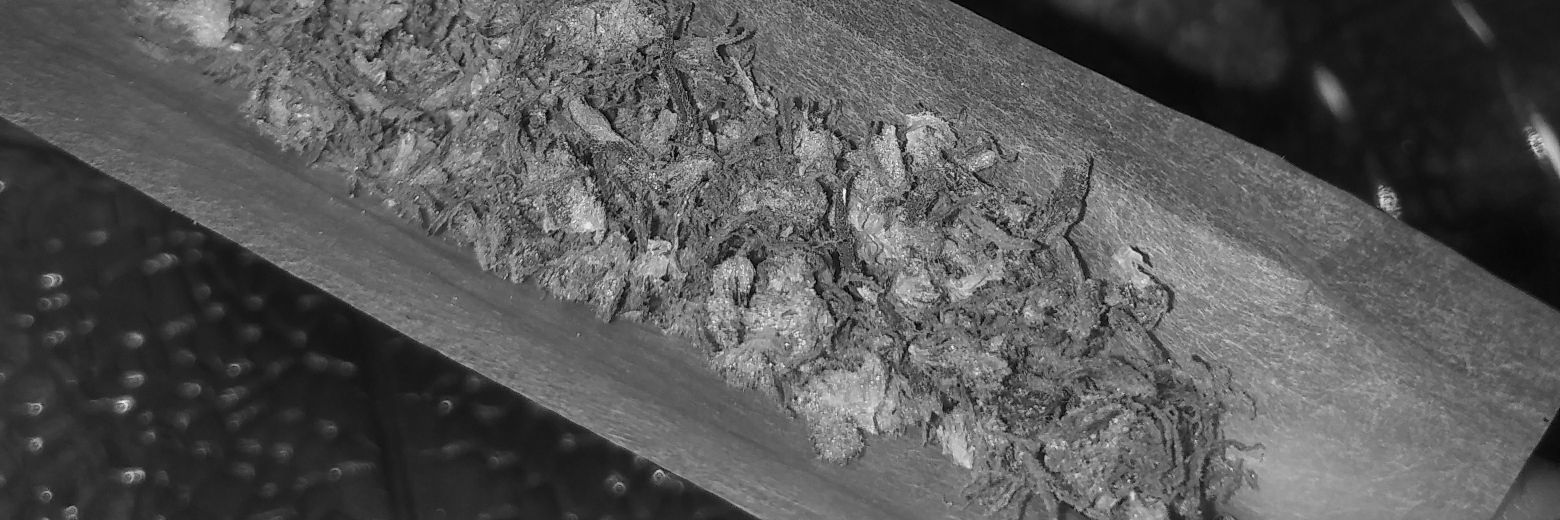 ailumarq's profile banner image