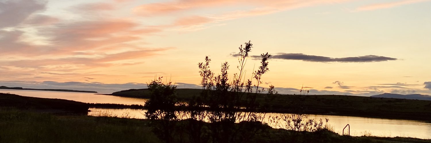 halldorahauks's profile banner image