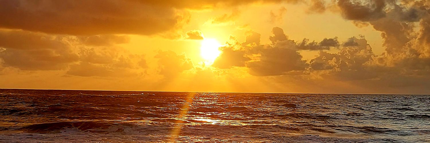 _avasconcelos's profile banner image