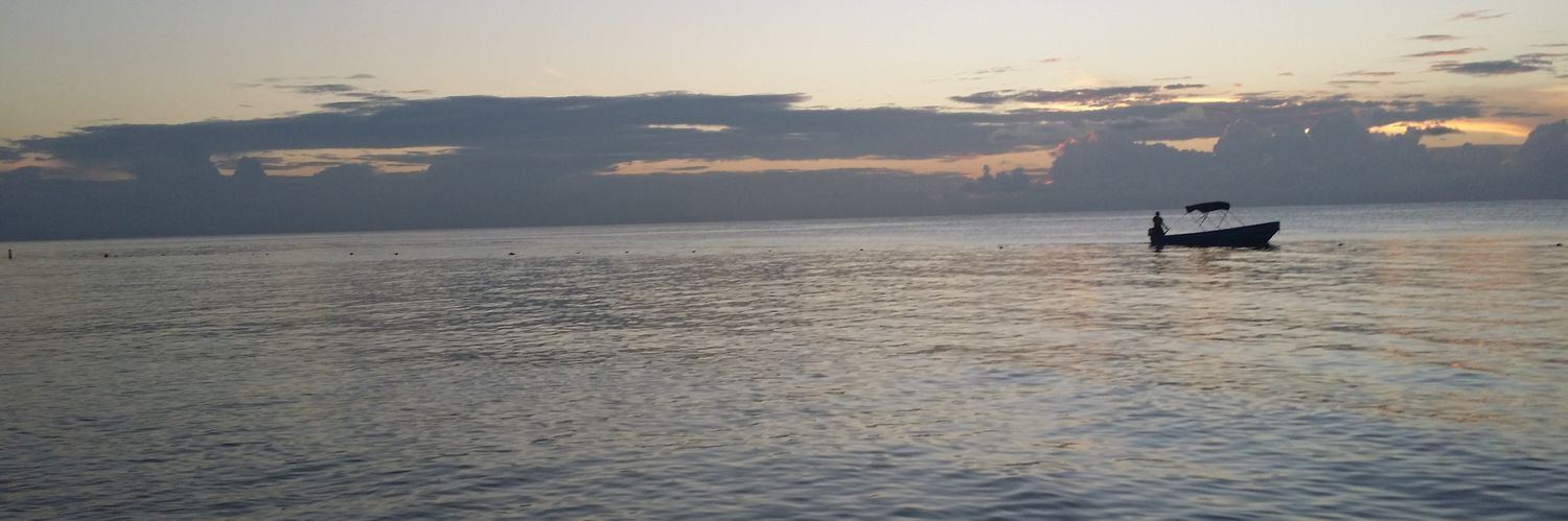 Lauren Nolasco, APR banner