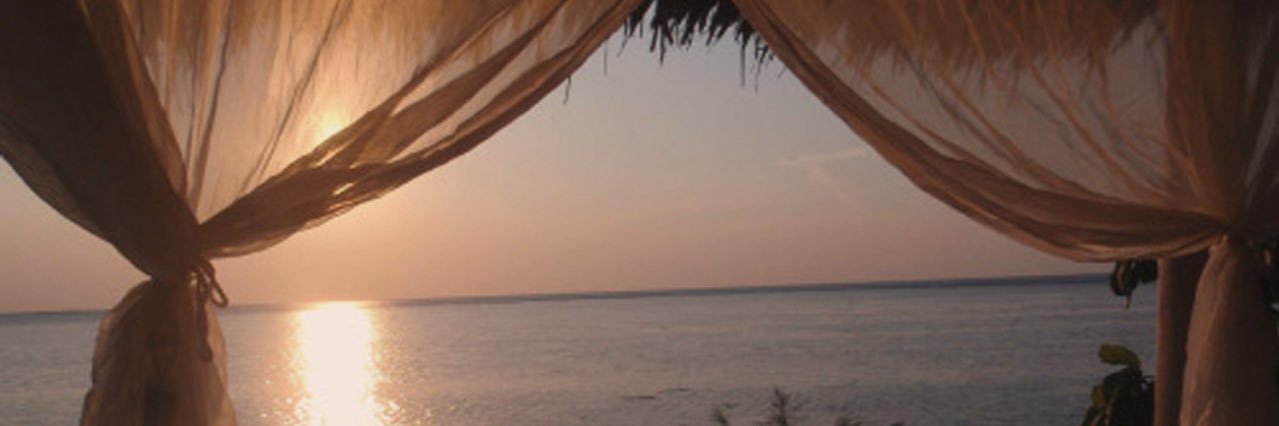 screamsdeee's profile banner image