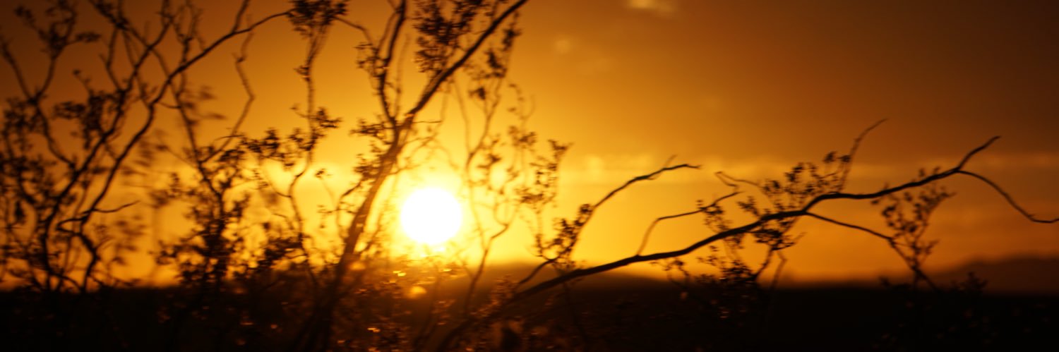 pancakefacee's profile banner image