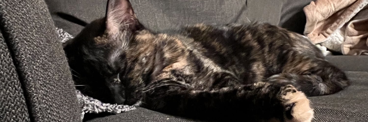 Niiiiizz's profile banner image