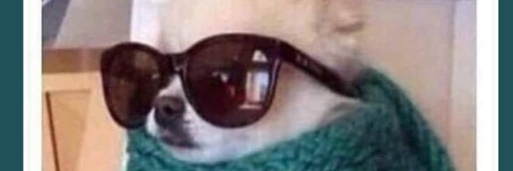 NannuGrant's profile banner image