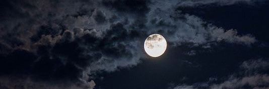 Goyita 🐾🌺☀️ banner