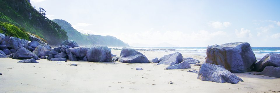 NichelleMedia's profile banner image