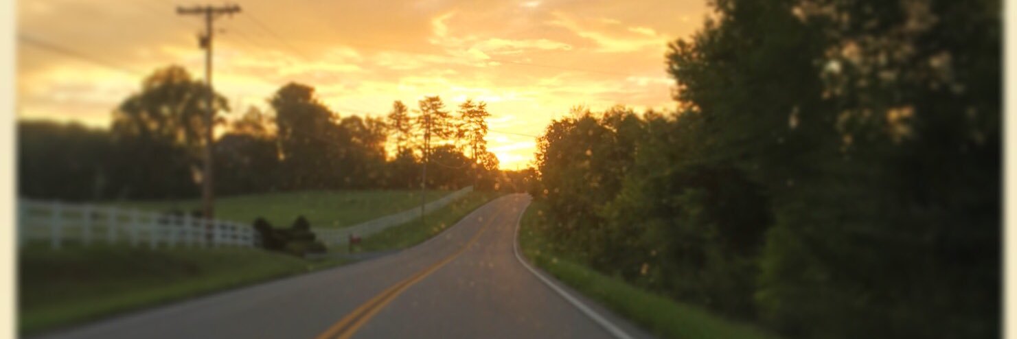 SJManis1203's profile banner image