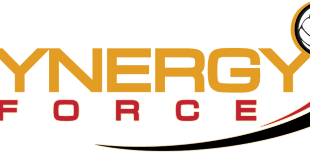 Synergy Force banner