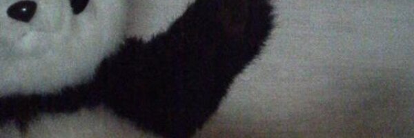 chiyosukebuchi Profile Banner