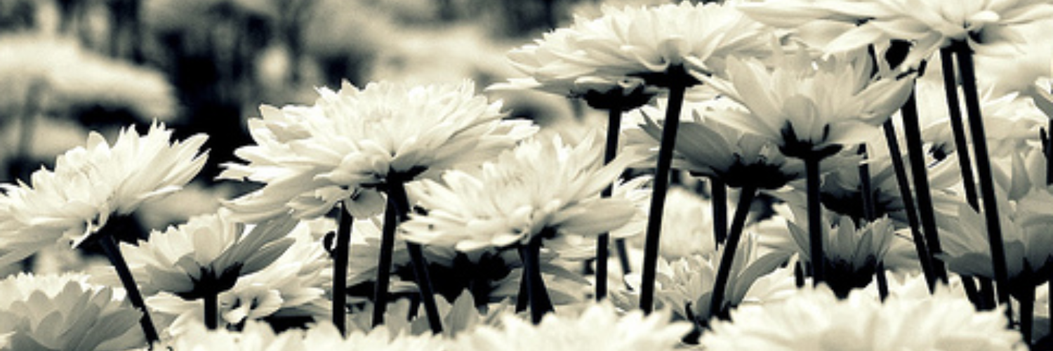 365together's profile banner image