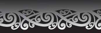 MaoriMoney's profile banner image