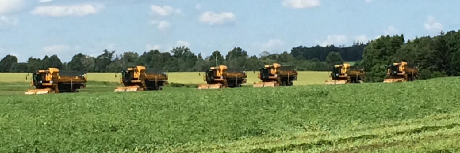 Jennifer Thompson, CCA-ON banner