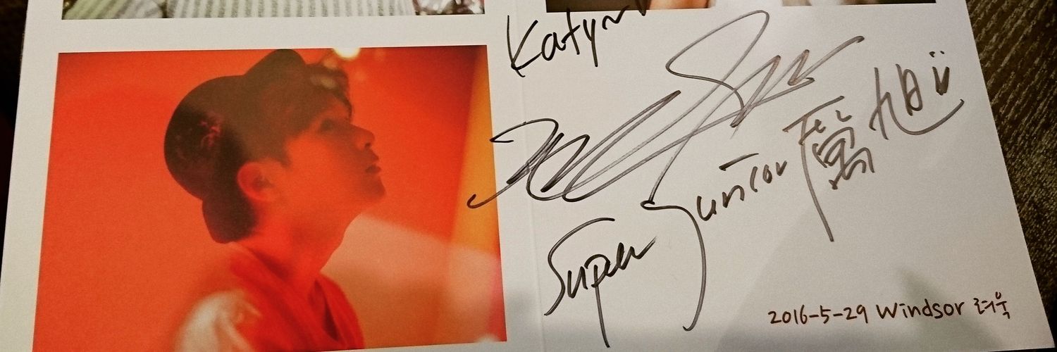 lpykaty's profile banner image