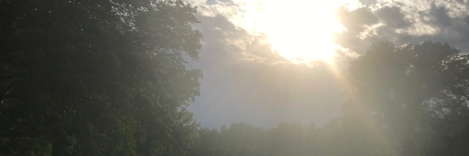 Heather Bronaugh banner