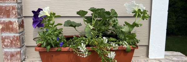 TiaraTotingLady Profile Banner