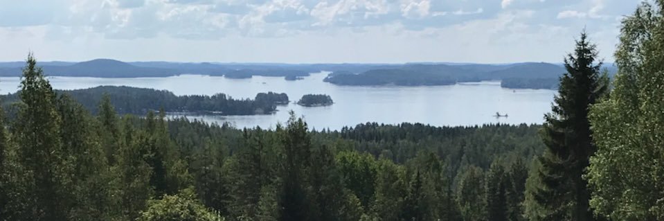 Salla Luomanmäki banner
