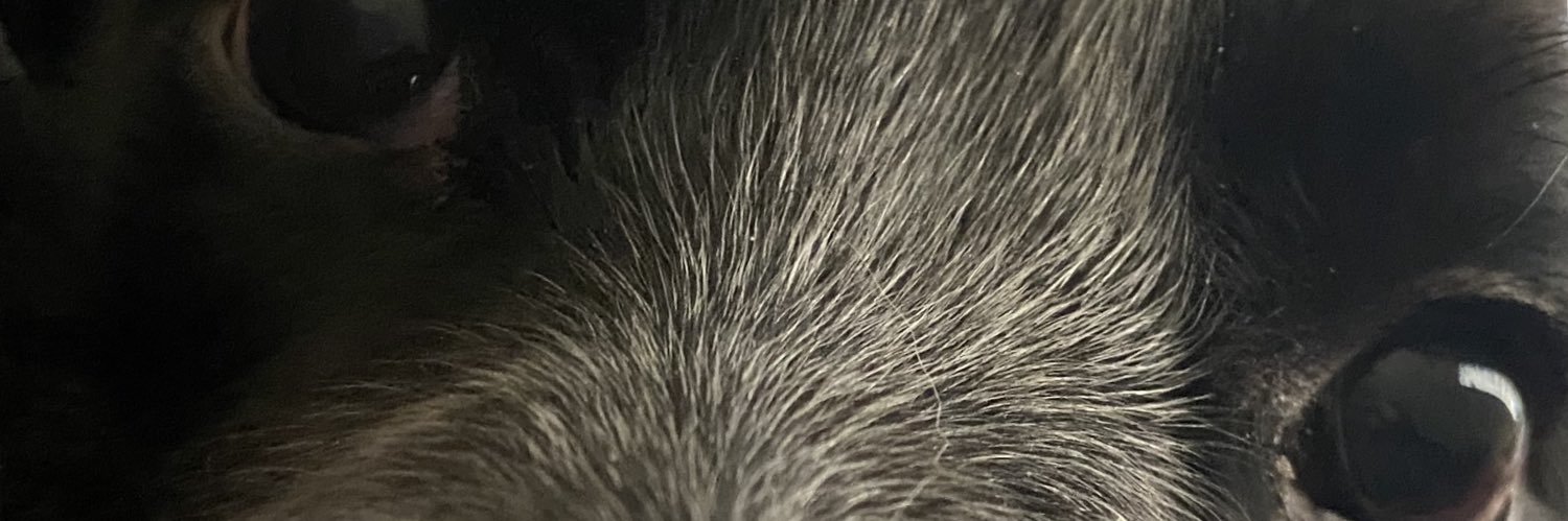 okaykenna's profile banner image