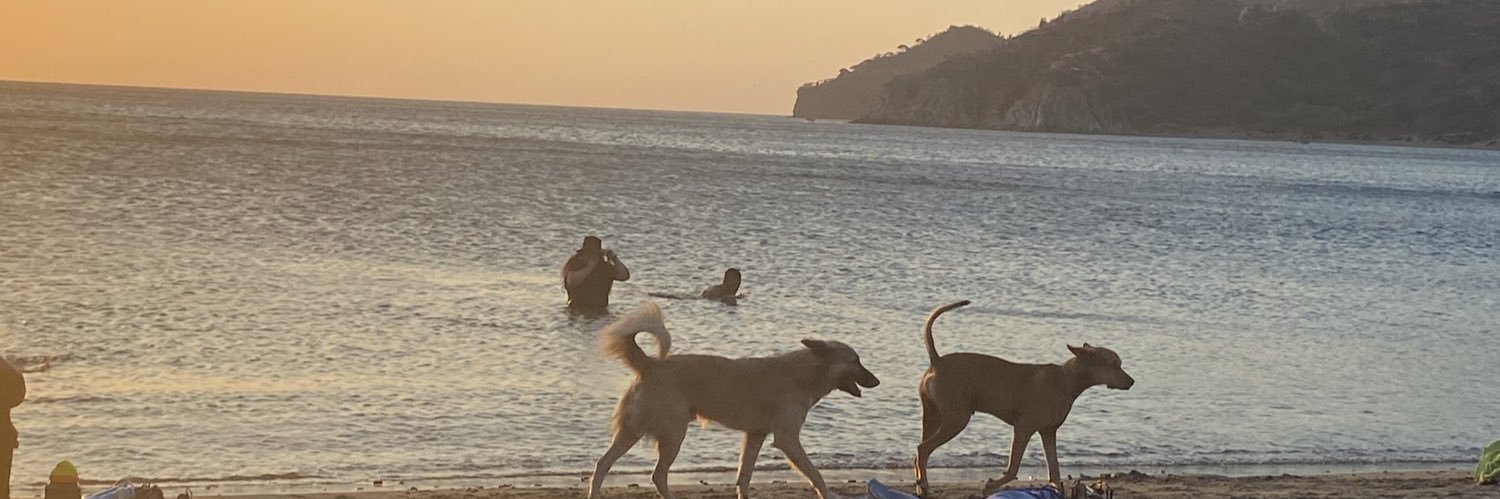 Gianigro's profile banner image
