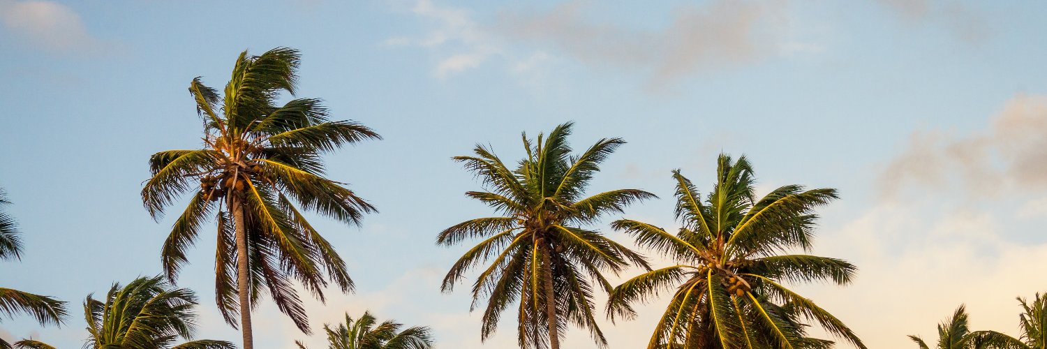 JamieBroderik's profile banner image