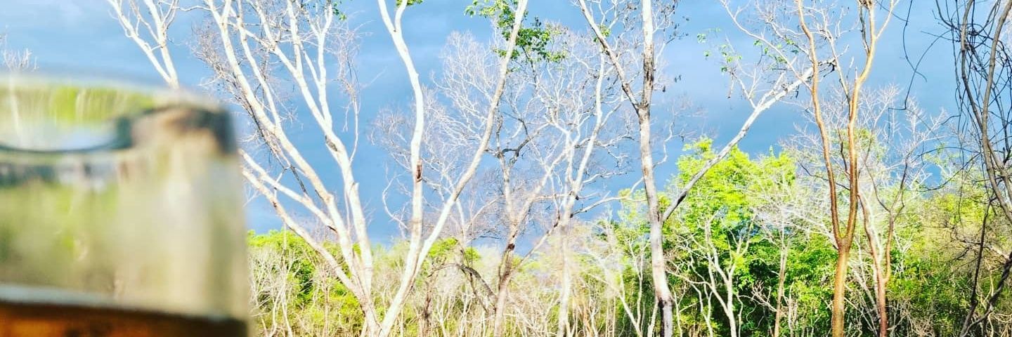 Rommcarrillo's profile banner image