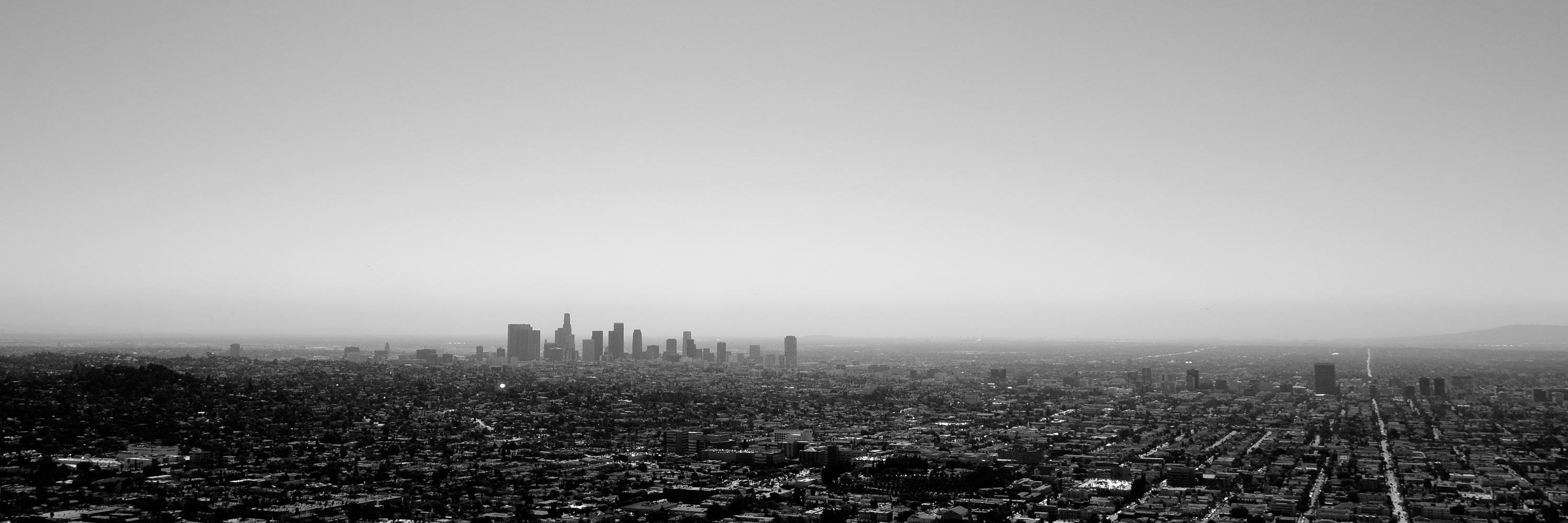 convolutional's profile banner image