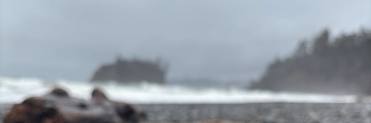 hvponce17's profile banner image