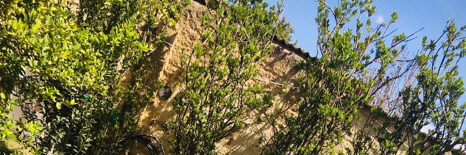 salimoal's profile banner image