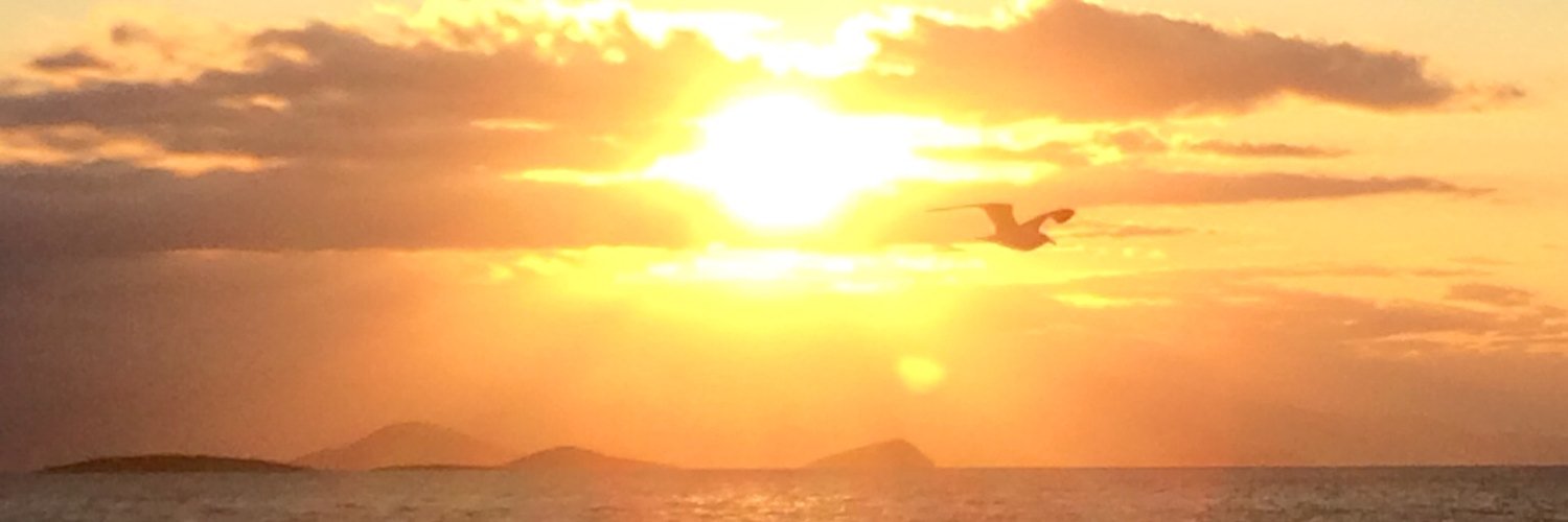 _alezc's profile banner image