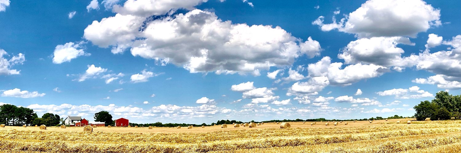 profharvey's profile banner image