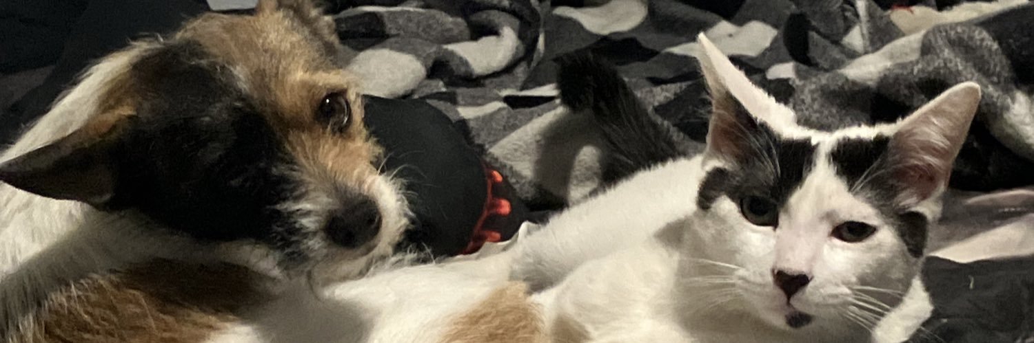 B_LitFoo's profile banner image