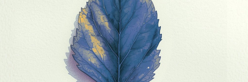olgs1221's profile banner image