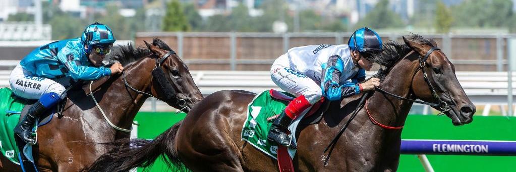Ourhorsesfly's profile banner image
