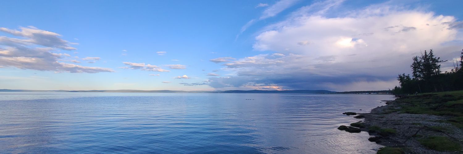 tomtombichnee's profile banner image