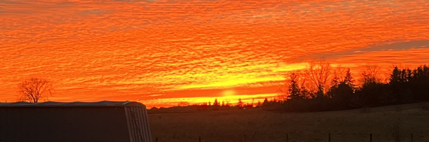 JimmySeedman's profile banner image